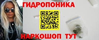 spice Гай