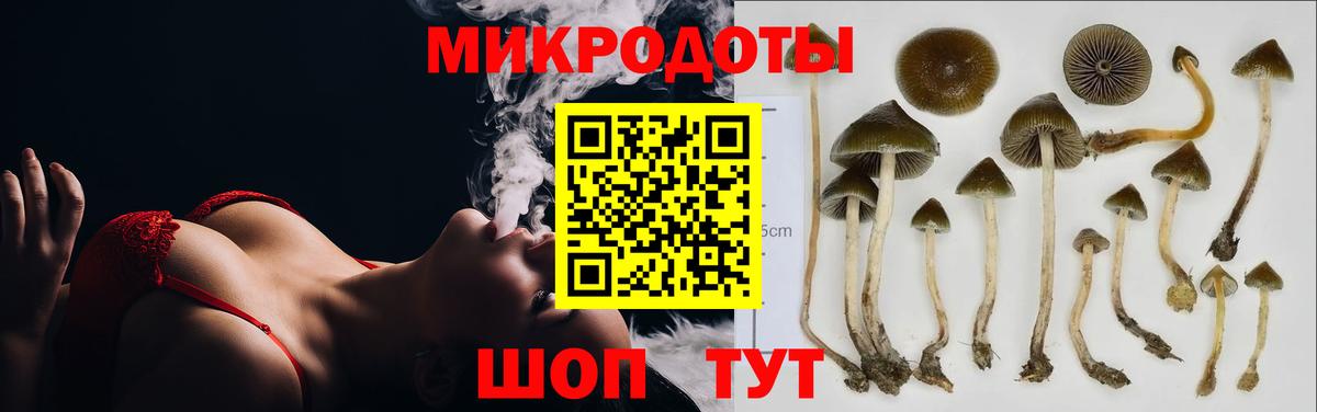 Сунжа  наркота  Вход с VPN  Псилоцибиновые грибы прущие грибы 